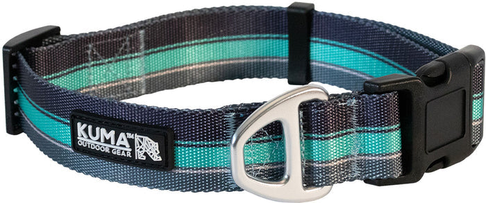 Backtrack Dog Collar