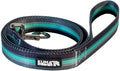 Backtrack Dog Leash