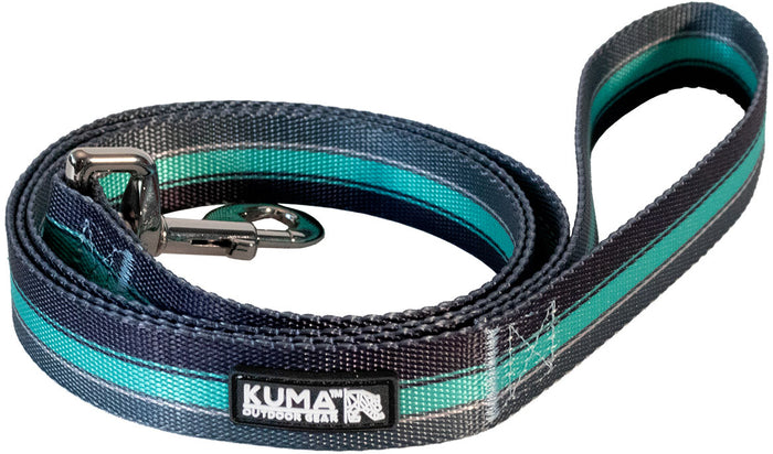 Backtrack Dog Leash