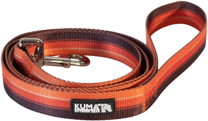 Backtrack Dog Leash