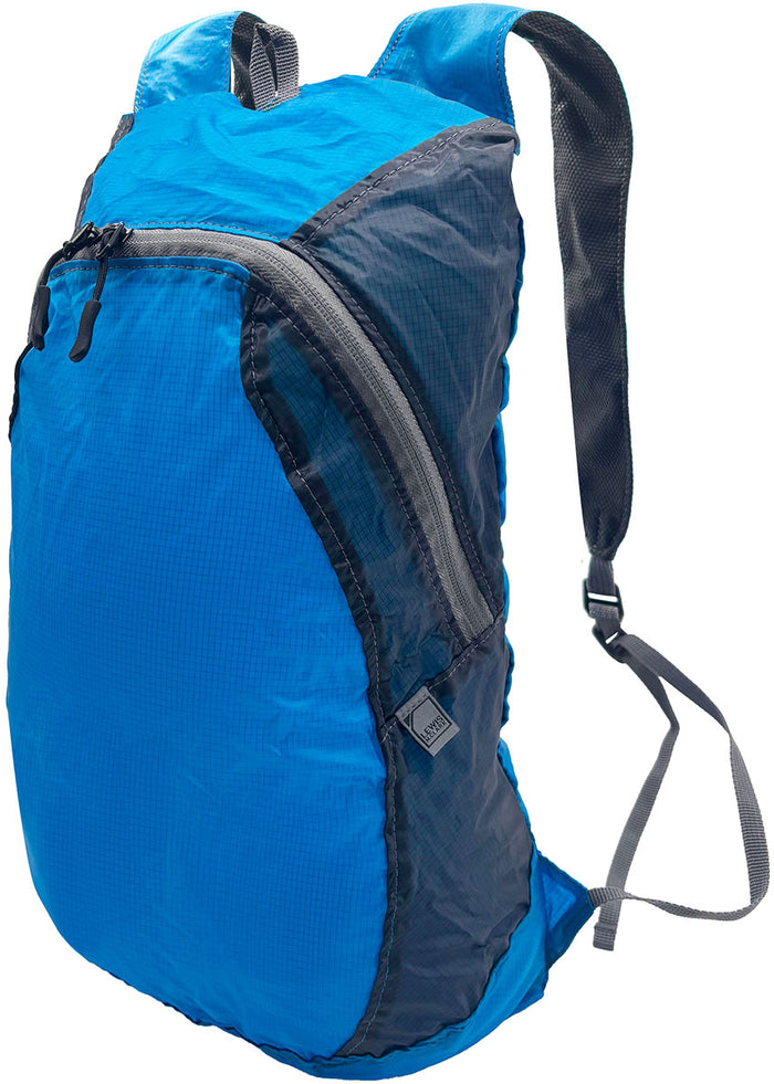 ElectroLight Back Pack