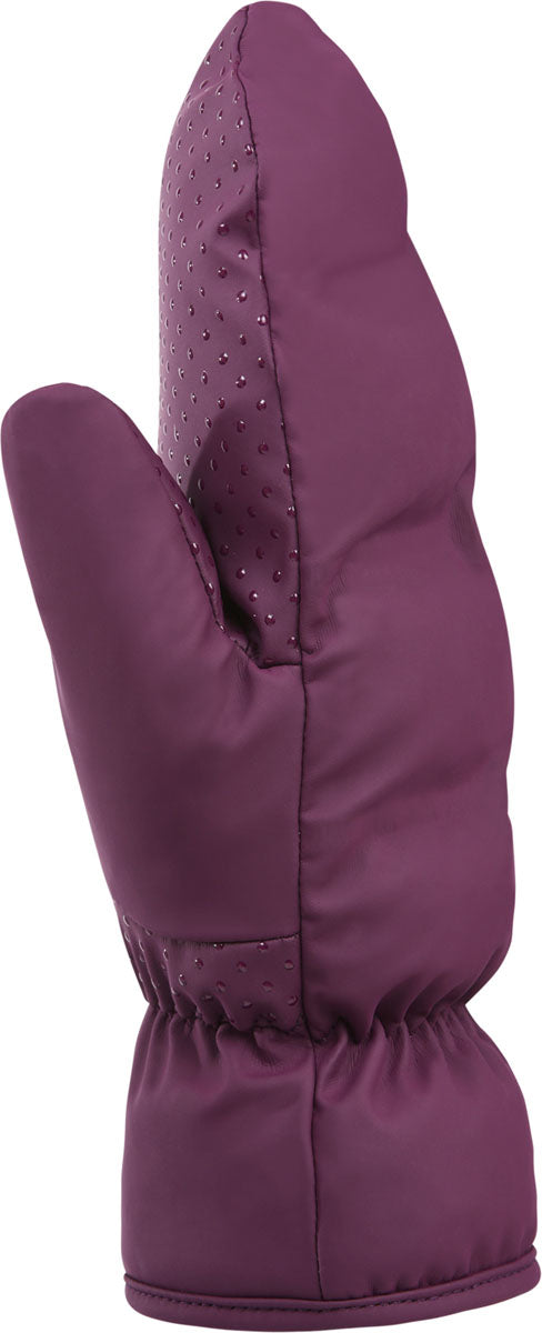Element Waterproof Mittens - Women's