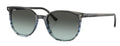 Elliot Sunglasses