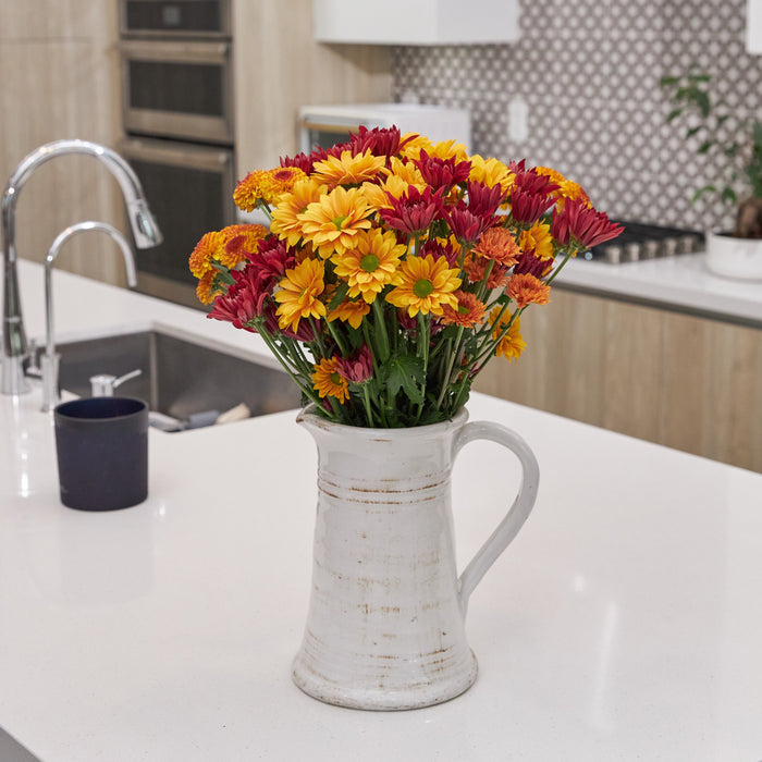 Fresh-Cut Large Rainbow Poms Flower Bunch, Colors Vary