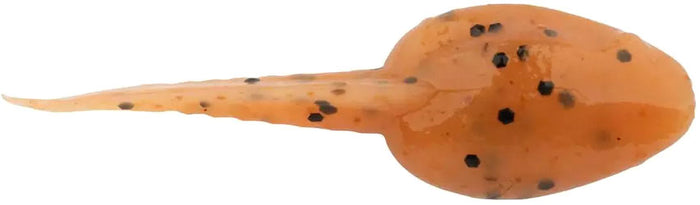 Gulp Alive Tadpole Creature Bait