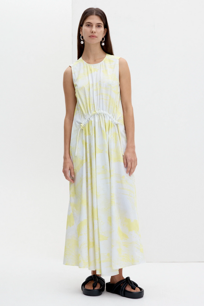Ida Dress in Cirrus Print Lemon
