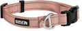 Lazy Bear Dog Collar