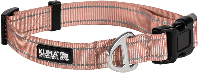 Lazy Bear Dog Collar