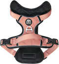 Lazy Bear Dog Harness