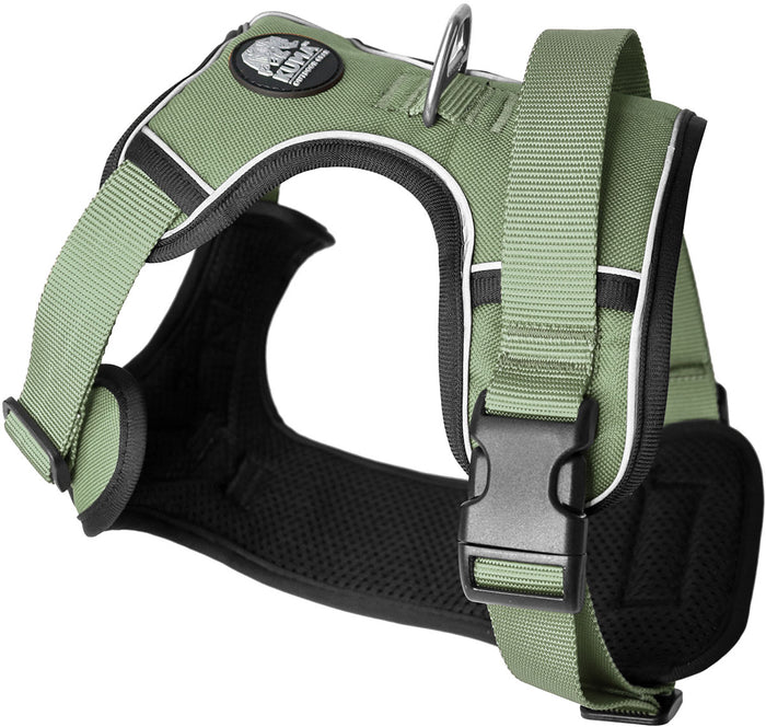Lazy Bear Dog Harness