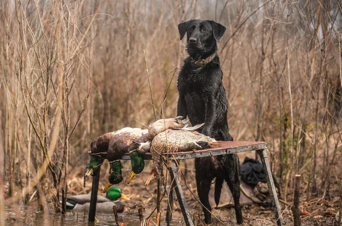 Mallard Floating Decoys - 6/PK