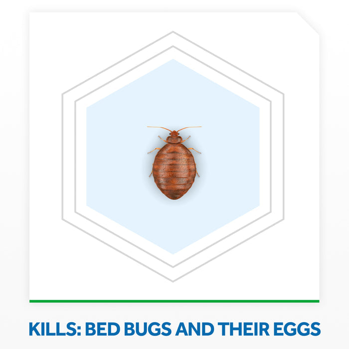 Raid Bed Bug Foaming Spray, Treatment to Kill Pyrethroid-resistant Bed Bugs, 16.5 oz