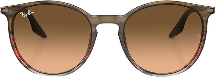 RB2204 Sunglasses