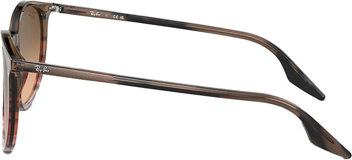 RB2204 Sunglasses