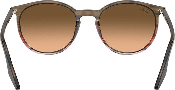 RB2204 Sunglasses