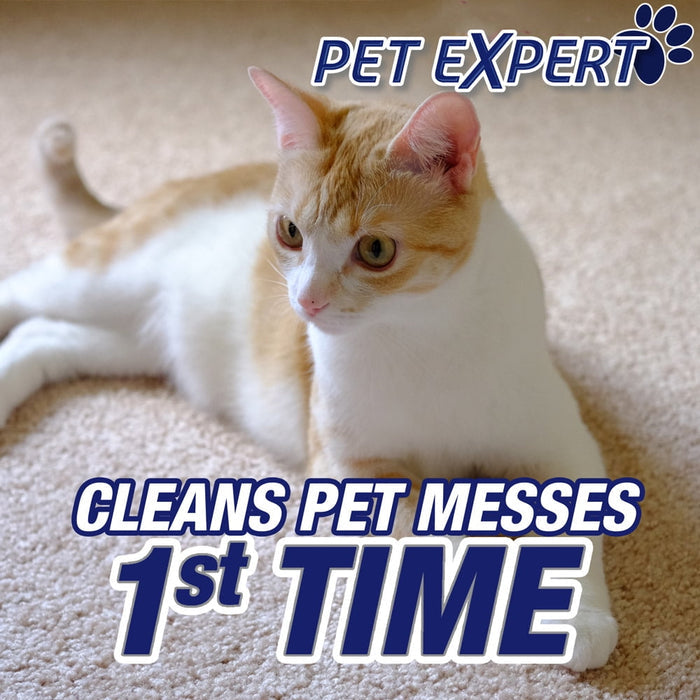 RESOLVE Pet Stain Odor Remover, Unscented, 22 Fluid Ounce