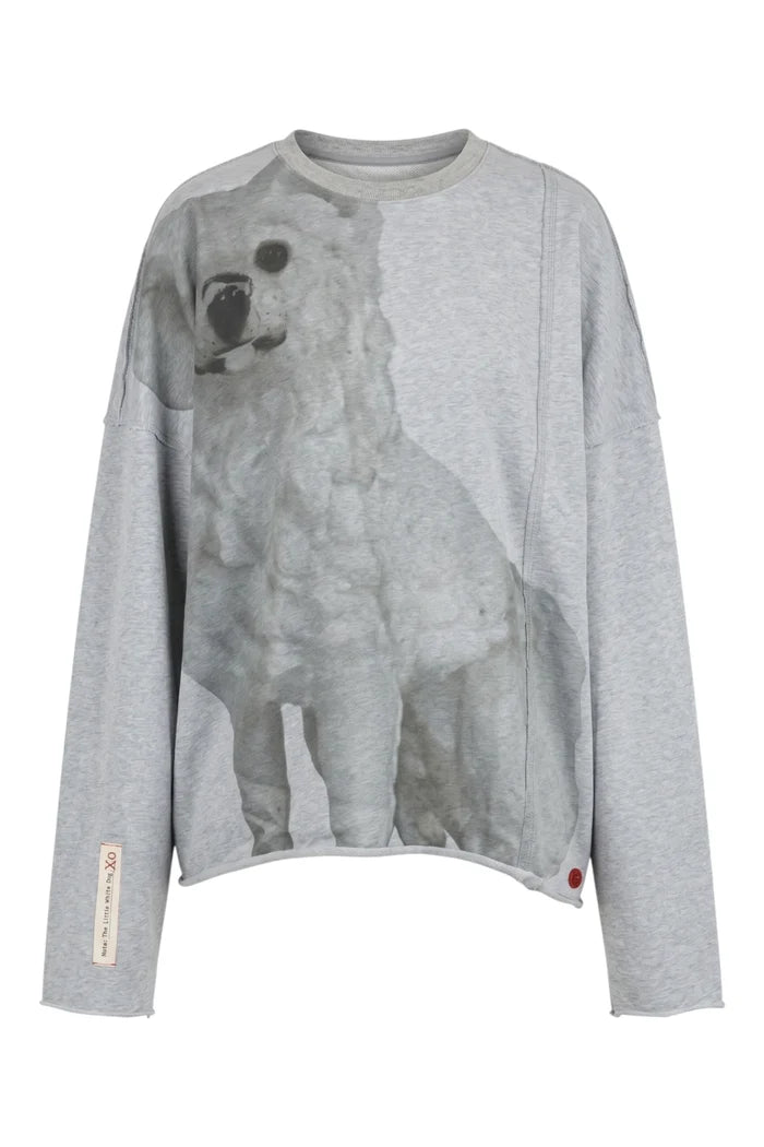 Road Trip Jumper | The Little White Dog