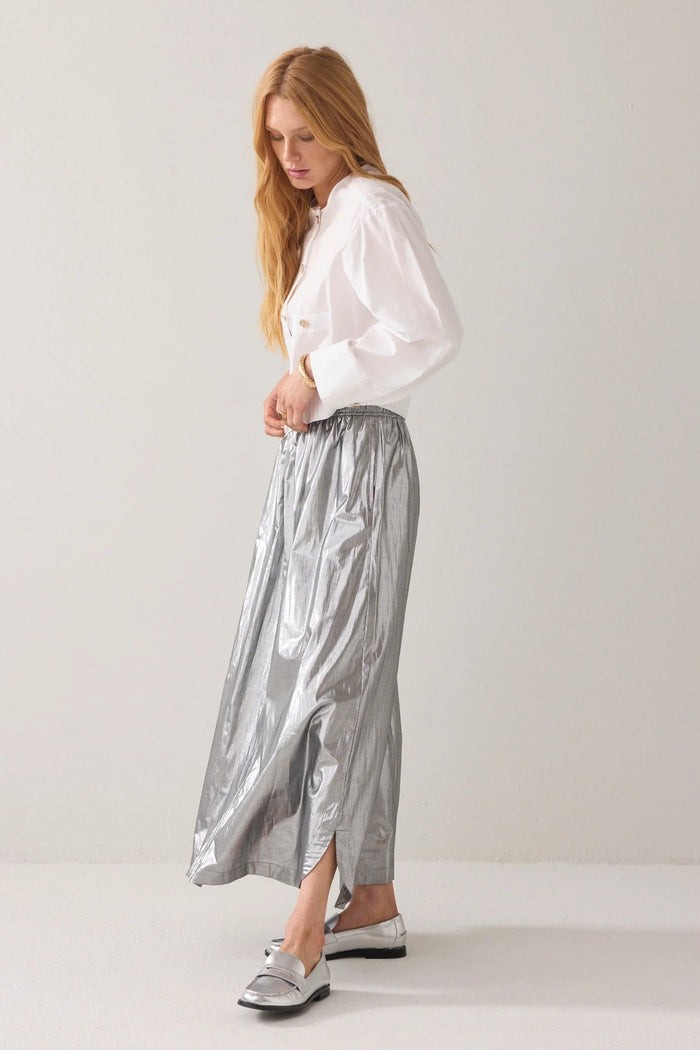 Silver Skirt