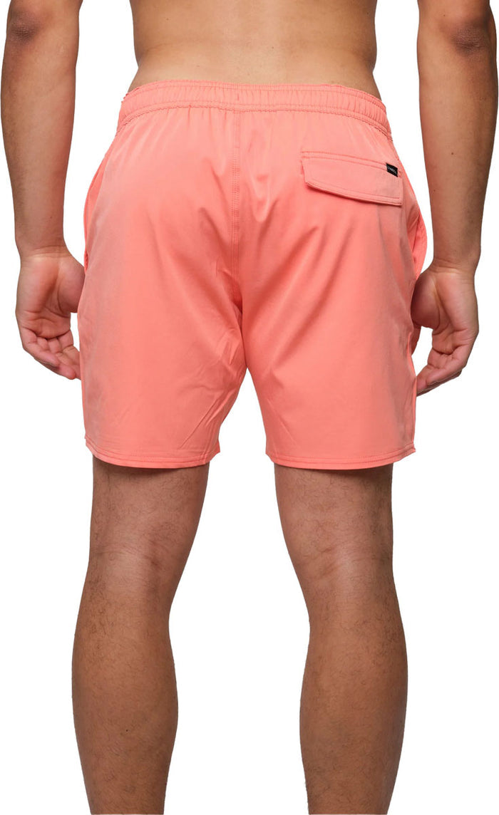 Solid Volley 2.0 Boardshorts - Men's
