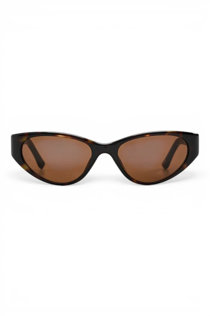 Solstice | Dusty Tortoise