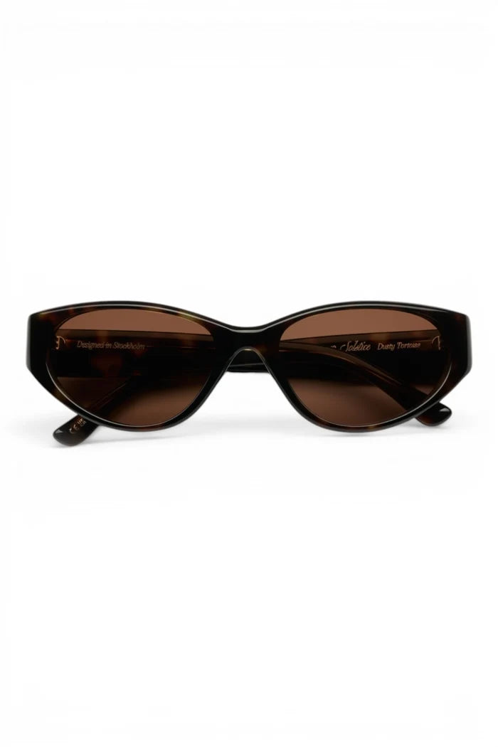 Solstice | Dusty Tortoise
