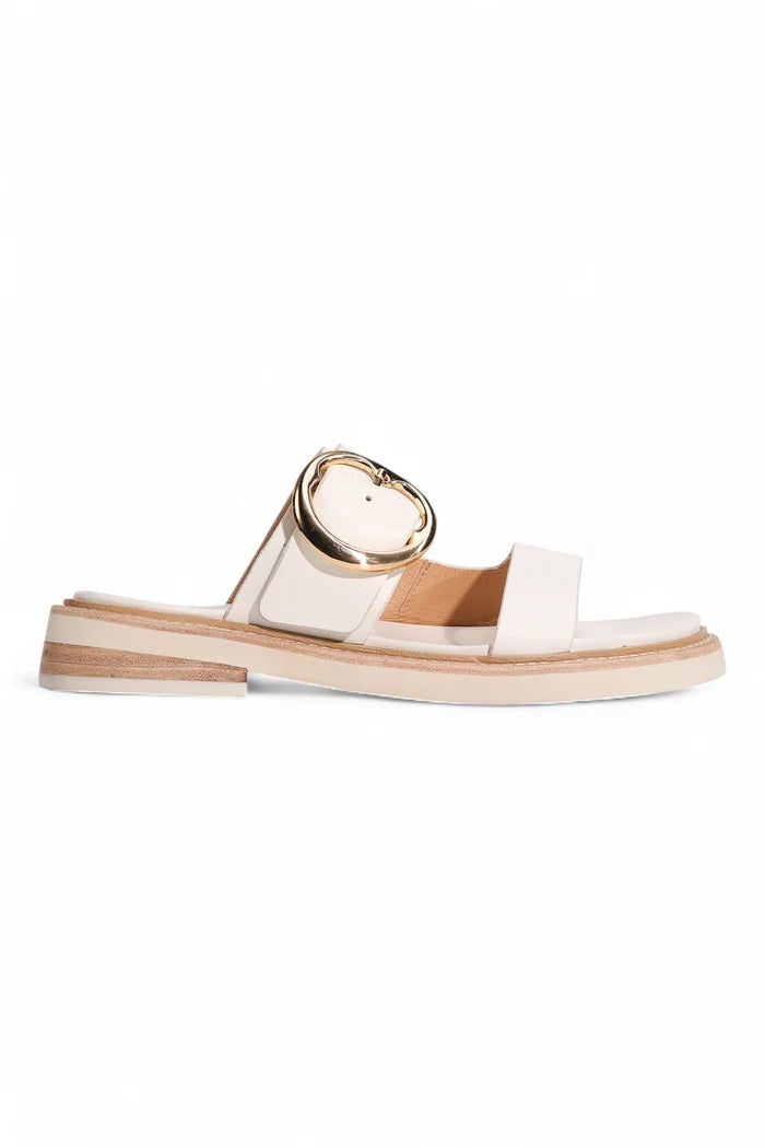 Stary Slide | Bone