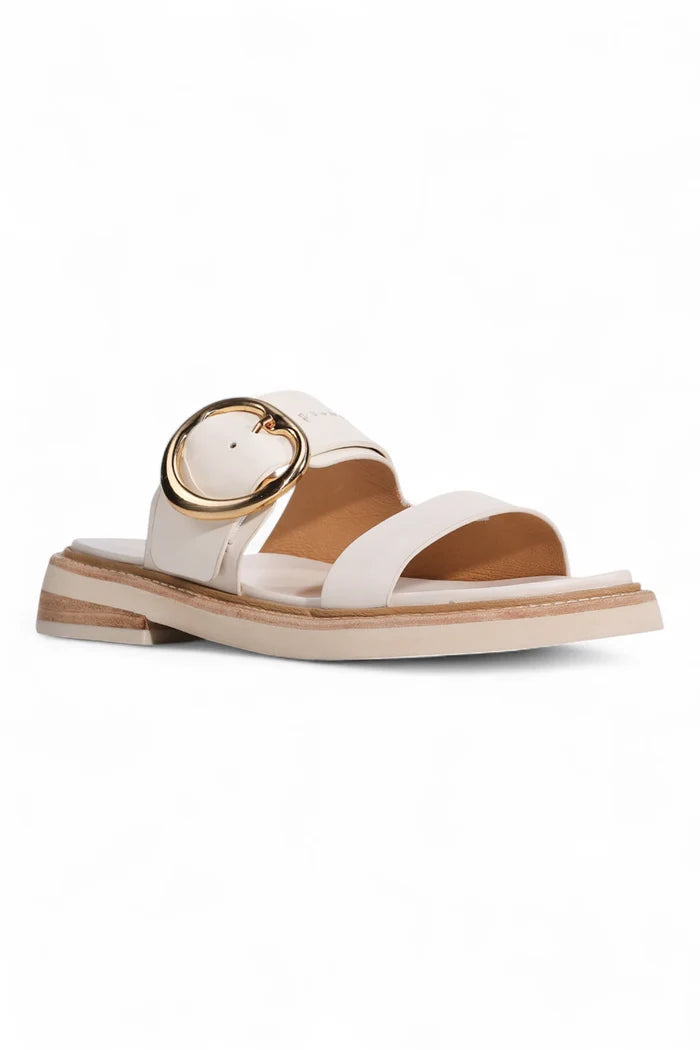 Stary Slide | Bone