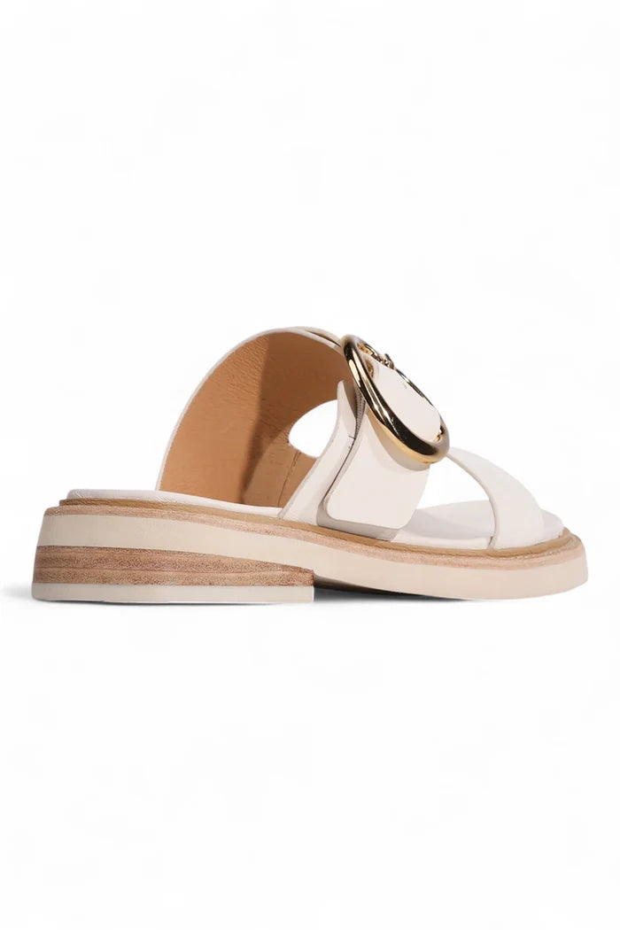 Stary Slide | Bone