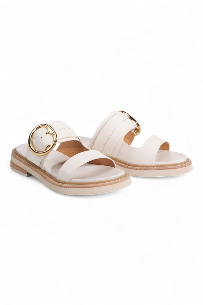 Stary Slide | Bone