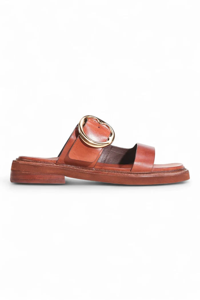 Stary Slide | Brandy