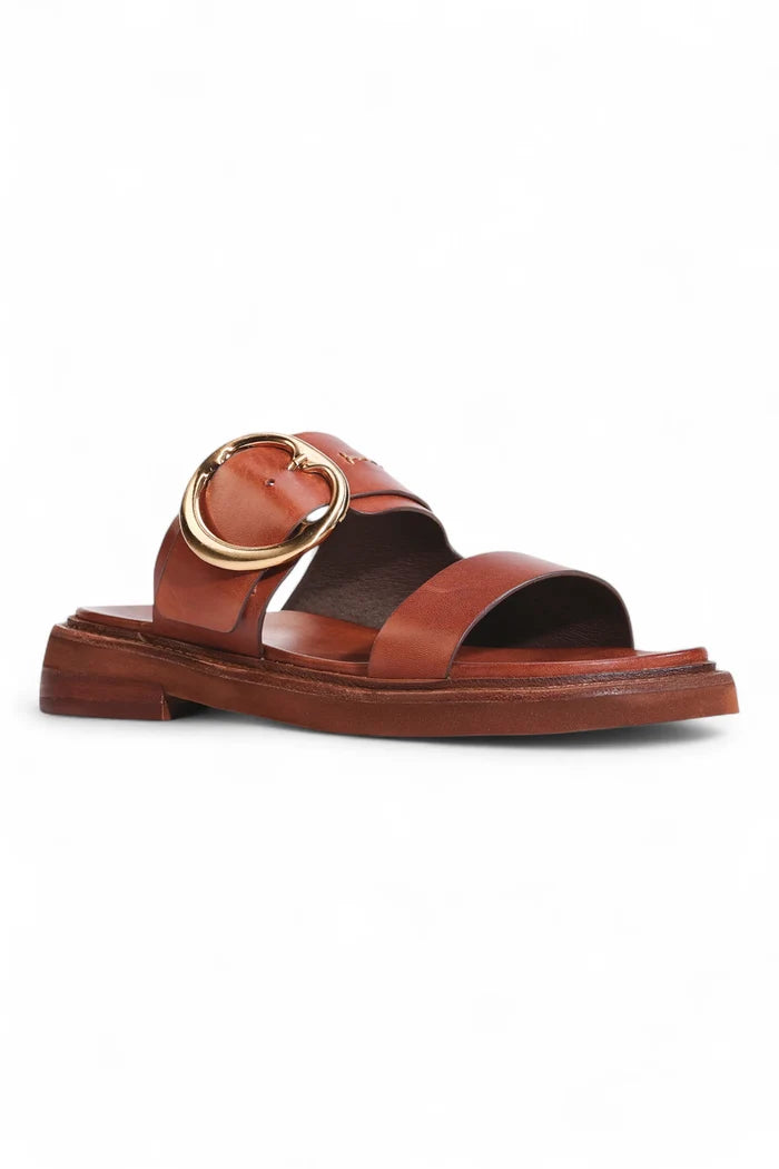 Stary Slide | Brandy