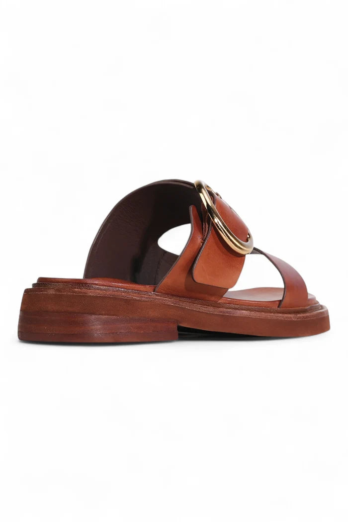 Stary Slide | Brandy