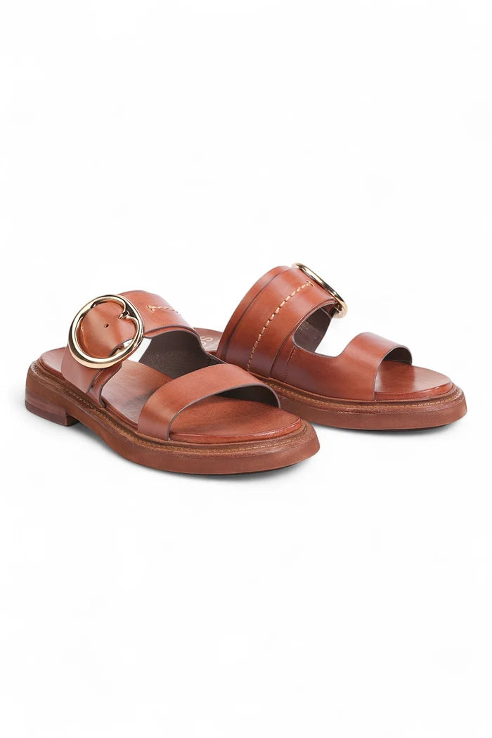 Stary Slide | Brandy