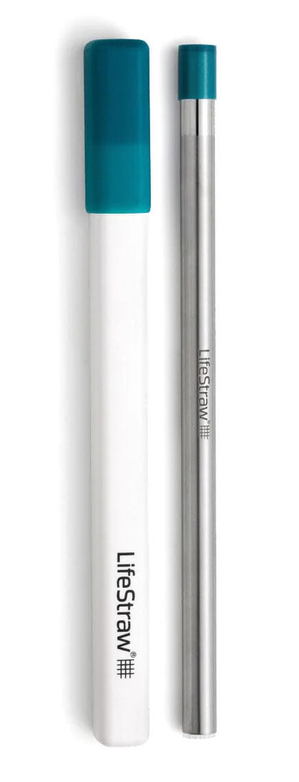 Steel Filter Straw