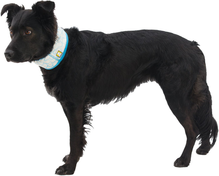Swamp Cooler Dog Cooling Neck Gaiter
