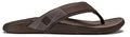 DK WOOD/DK WOOD / 7