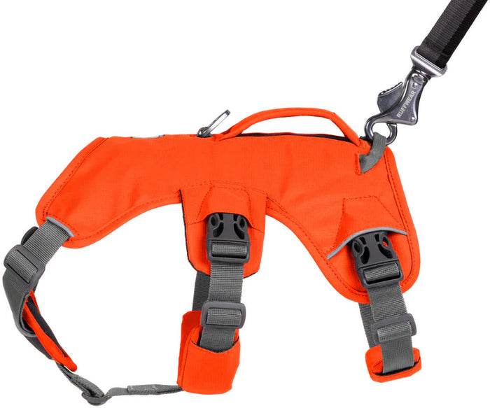 Web Master Dog Harness with Handle