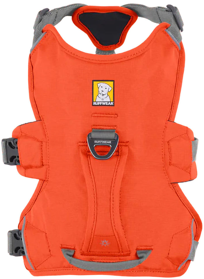 Web Master Dog Harness with Handle