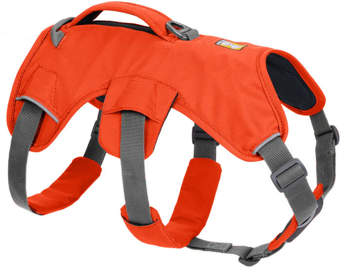 Web Master Dog Harness with Handle