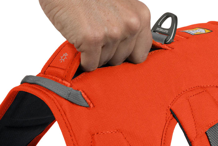 Web Master Dog Harness with Handle