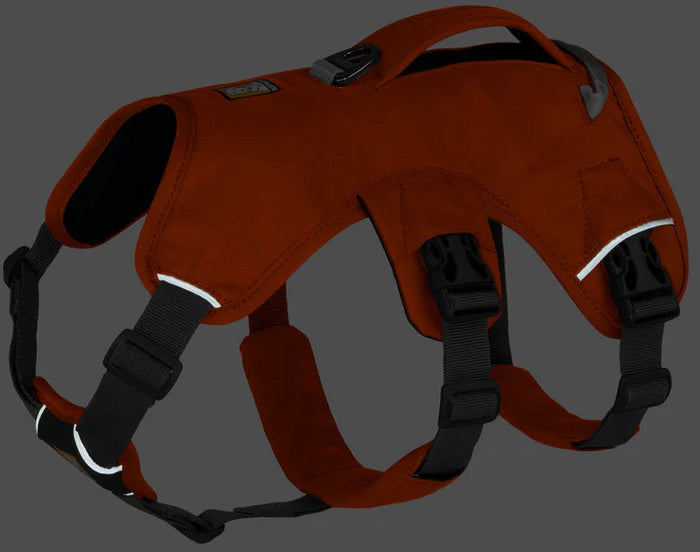 Web Master Dog Harness with Handle